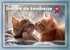 Instant de tendresse