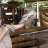 QUELQUES VIDEOS !