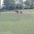 QUELQUES VIDEOS !
