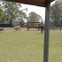 QUELQUES VIDEOS !