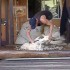 QUELQUES VIDEOS !