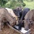 Bienvenue à la ferme !