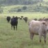 Bienvenue à la ferme !