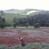 Bienvenue à la ferme !