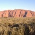 Kings Canyon / Uluru / Kata Tjuta du 14