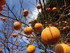 LES BOULES DE NOËL ......