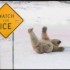 dancing (or not) on ice