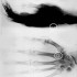 Extraterrestres : Implants extraterrestr