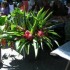 Samedi 20 Août 2011