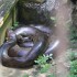 Samedi 27 août : zoo de Guyan