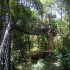 Samedi 27 août : zoo de Guyan