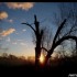 Entre lever et coucher du sole