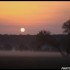 Entre lever et coucher du sole