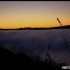 mer de brouillard