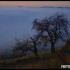 mer de brouillard