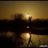 L illwald dans une ambiance bi