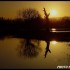 L illwald dans une ambiance bi