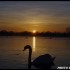 Lever du soleil