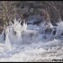 Froid sibériens