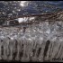 Froid sibériens