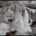 Froid sibériens