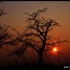 Coucher du soleil