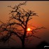 Coucher du soleil
