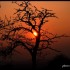 Coucher du soleil
