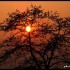 Coucher du soleil