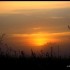 Brouillard  et Soleil