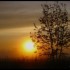Brouillard  et Soleil