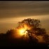 Brouillard  et Soleil