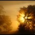 Brouillard  et Soleil