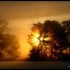 Brouillard  et Soleil