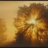Brouillard  et Soleil