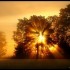 Brouillard  et Soleil