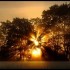 Brouillard  et Soleil