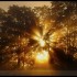 Brouillard  et Soleil