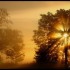 Brouillard  et Soleil
