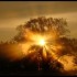 Brouillard  et Soleil