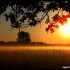 Lever du soleil