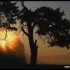Lever du soleil