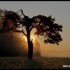 Lever du soleil