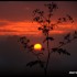 Lever du soleil