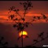 Lever du soleil