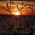 Leve du soleil