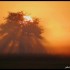 Lever du soleil sur fond de br