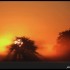 Lever du soleil sur fond de br