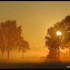 Lever du soleil sur fond de br