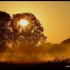 Lever du soleil sur fond de br